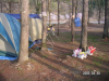s_pict0008_thumb.png